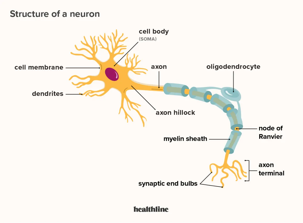 Biology