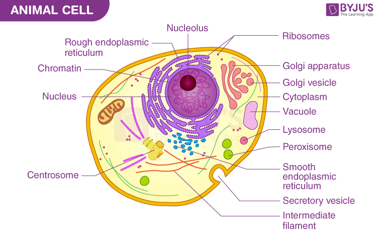 Biology